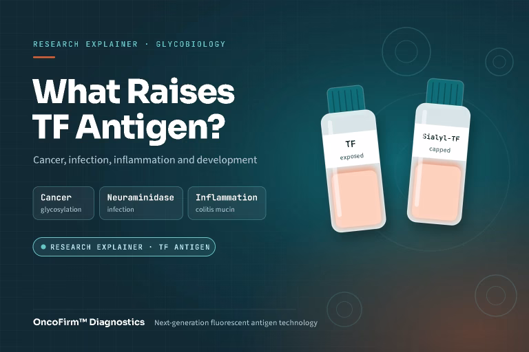 Featured graphic: what raises Thomsen–Friedenreich (TF) antigen — cancer glycosylation, microbial neuraminidase and inflammation, with exposed TF and capped sialyl-TF sample vials — OncoFirm™ Diagnostics