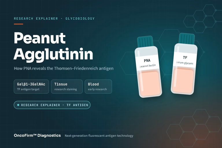 Featured graphic: peanut agglutinin (PNA) and the Thomsen–Friedenreich (Galβ1-3GalNAc) cancer antigen, with PNA lectin and serum glycan sample vials — OncoFirm™ Diagnostics